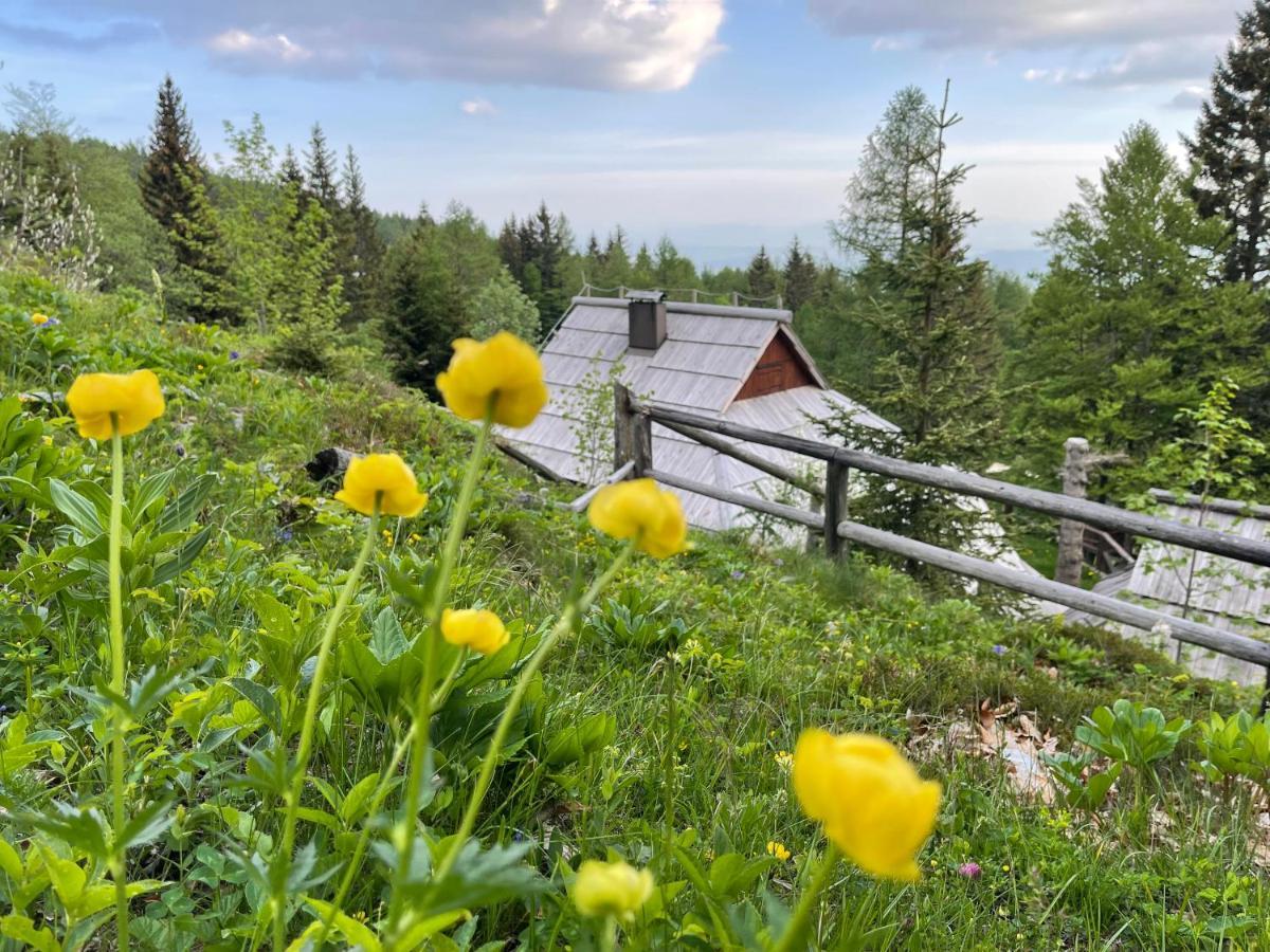 Velika Planina Chalet Slovenka Stahovica Exterior foto
